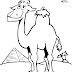 Dromedario para Colorir - Animais para imprimir do deserto
