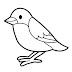 Passaro para Colorir - Aves para Pintar e Imprimir