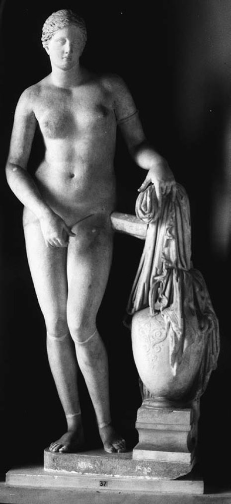 [venus_colonna.bmp]