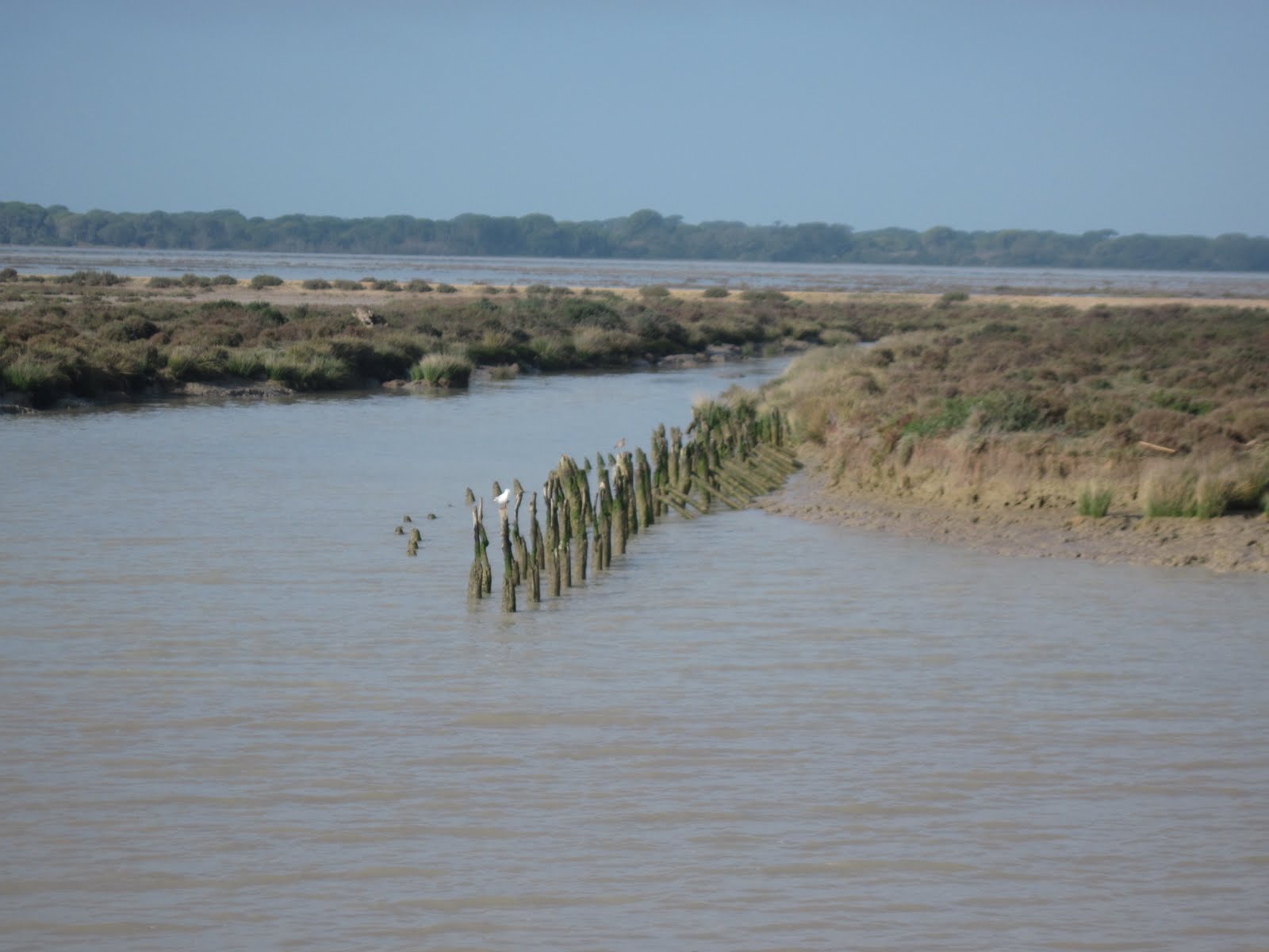 [0602+Sanlucar+Donana+boat+trip+005.JPG]