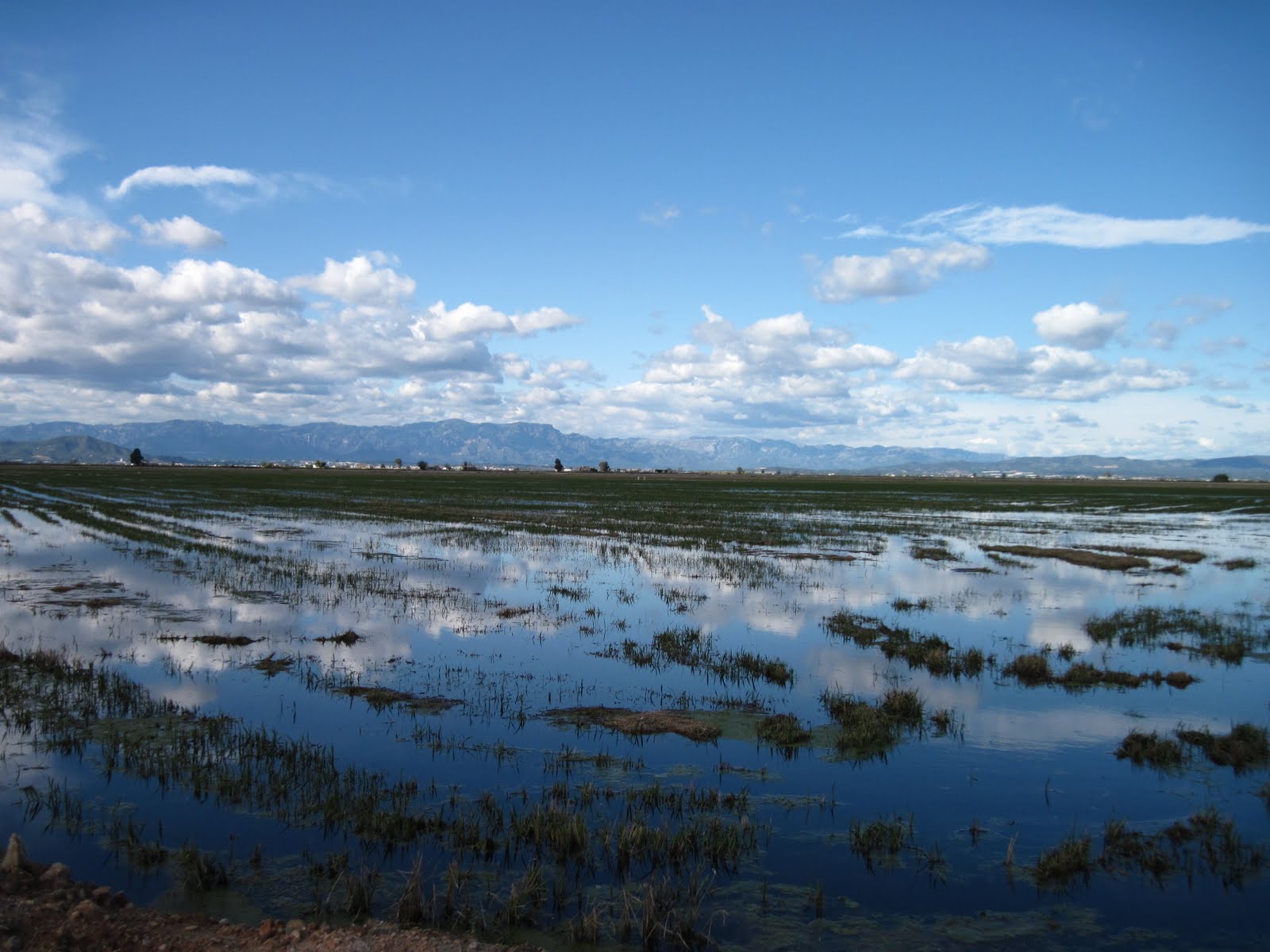 [0511+Ebre+delta+011.JPG]