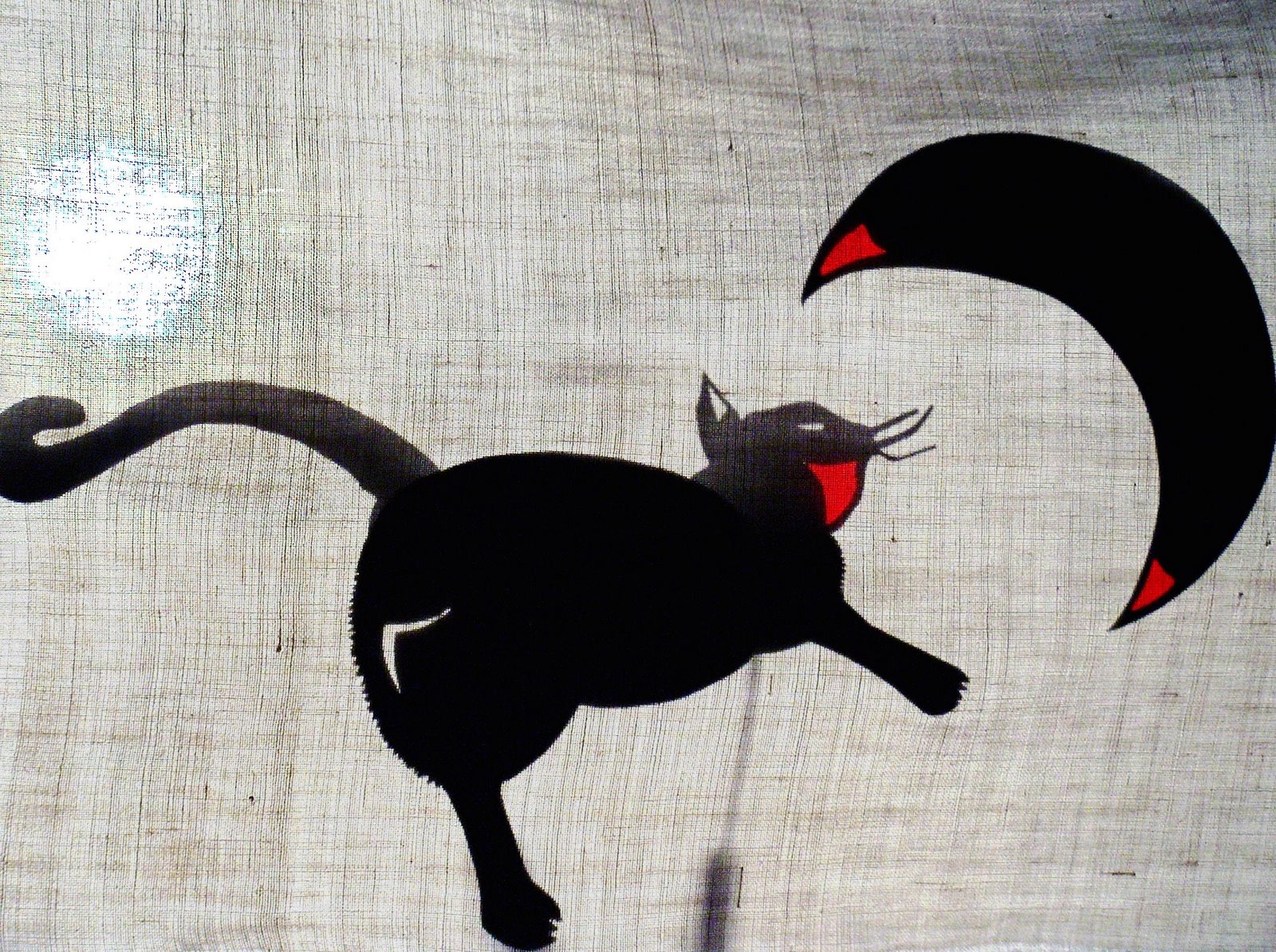 [gato+e+lua+copy.jpg]