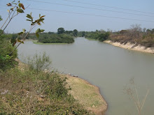 Rio Arraia do Araguaia