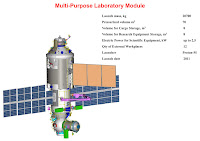 MLM module