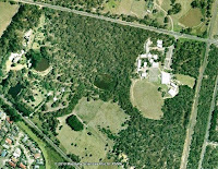 The Pines: before