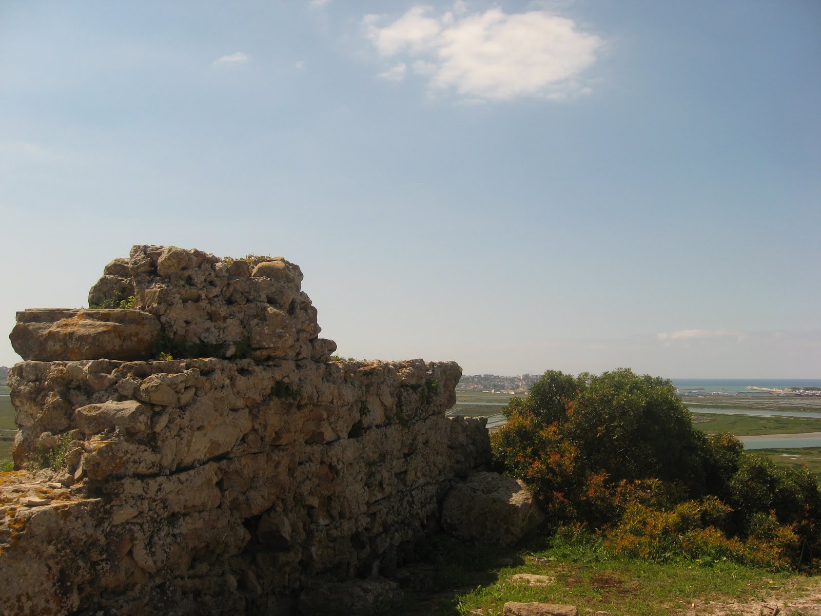 [IMG_1447.JPG]