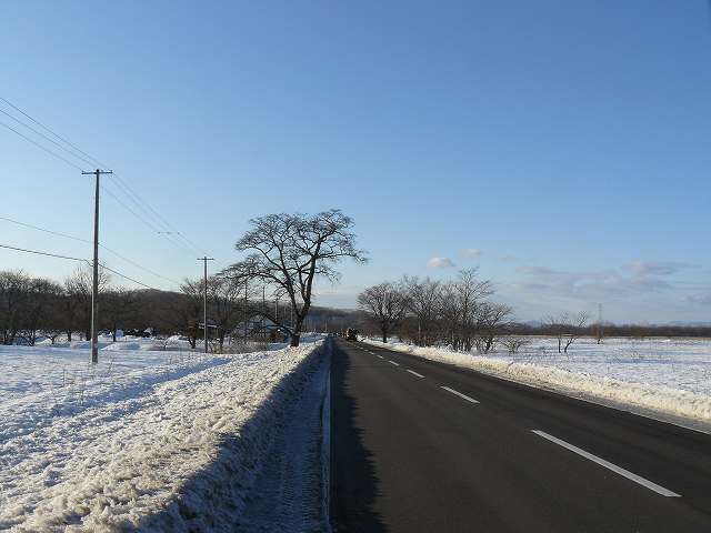 [空港までの道.jpg]