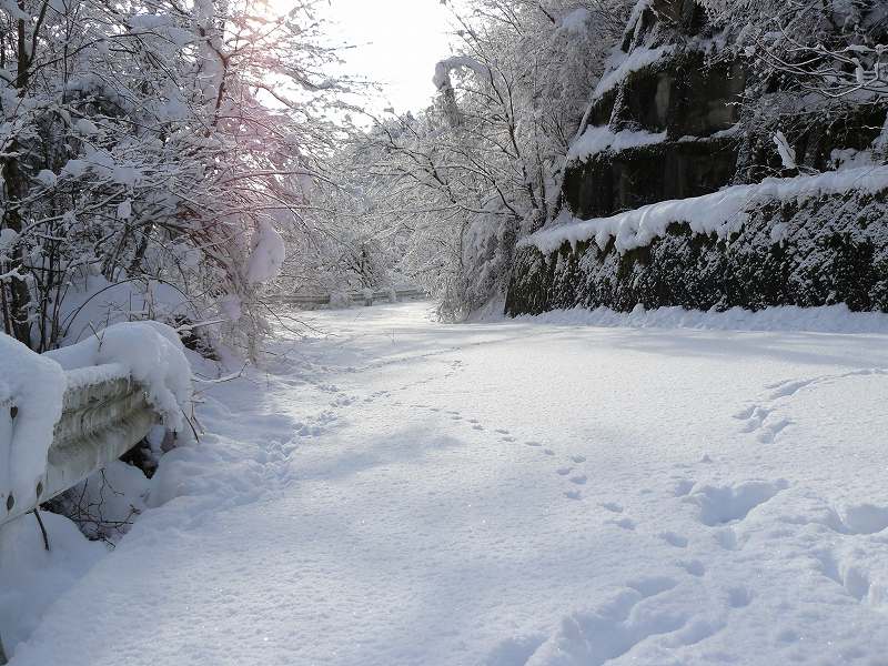 [音見沢橋の足跡+(2).jpg]