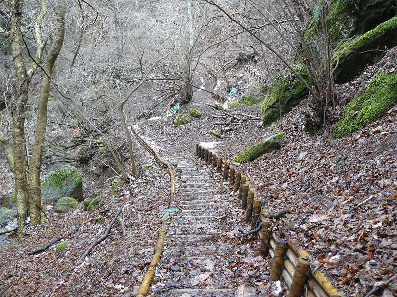 [立派な道+(2).jpg]