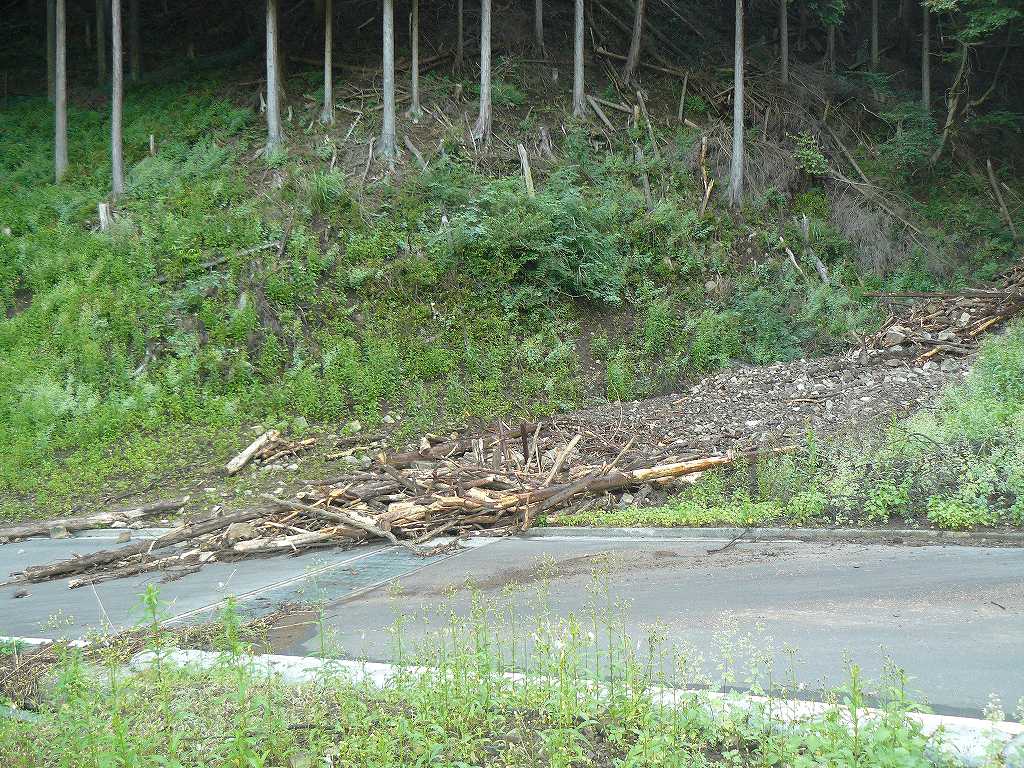 [è±ªé›¨ï¼’.jpg]