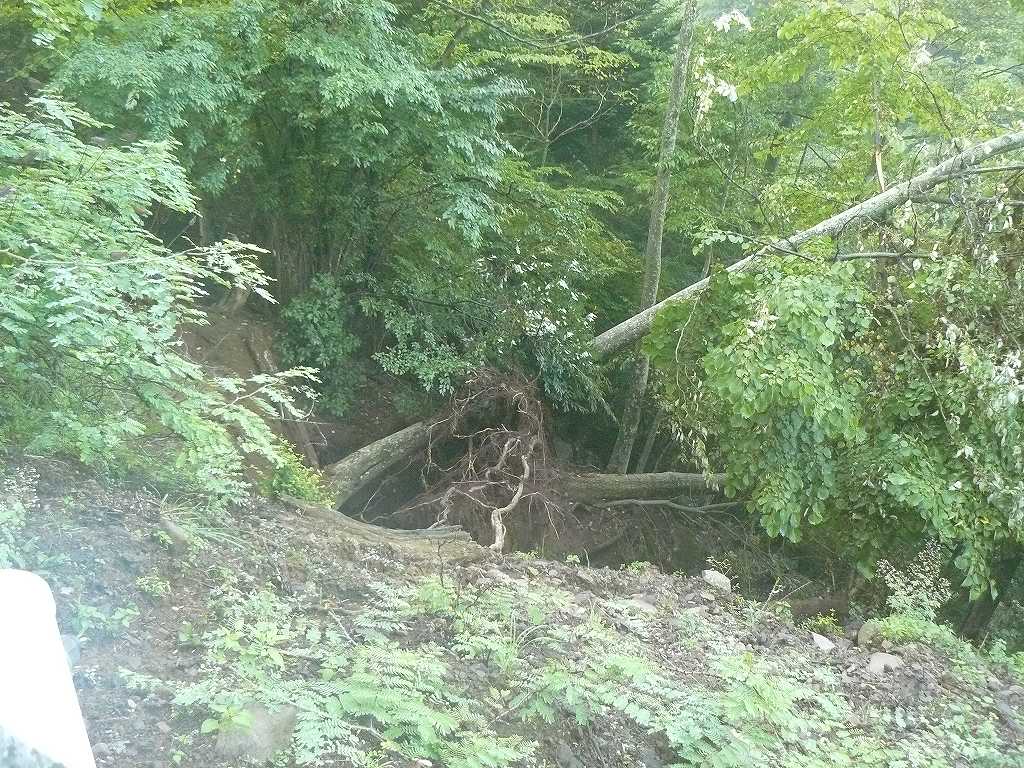 [è±ªé›¨å¾Œï¼‘.jpg]