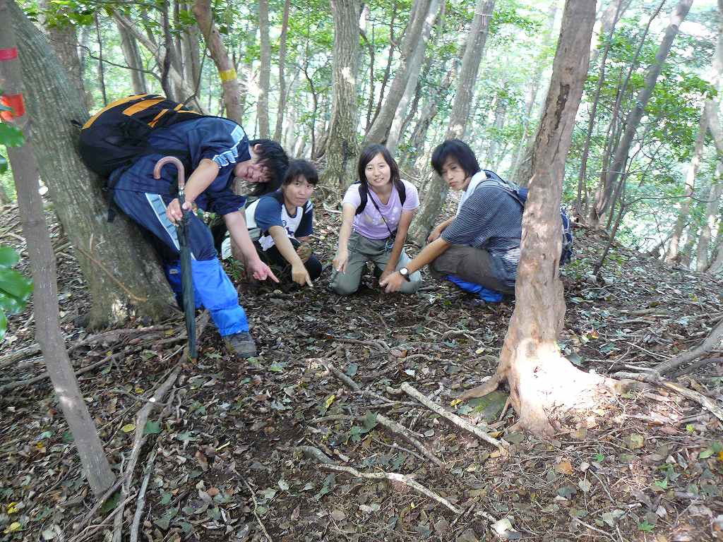 [ç  ç³ ã ¨å&shy]