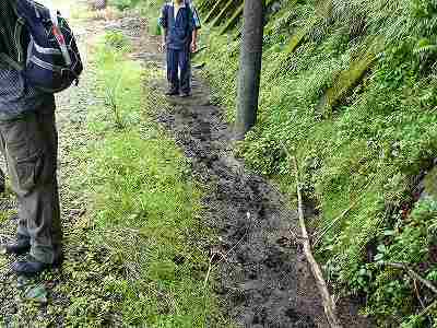 [ｲﾉｼｼの足跡.jpg]