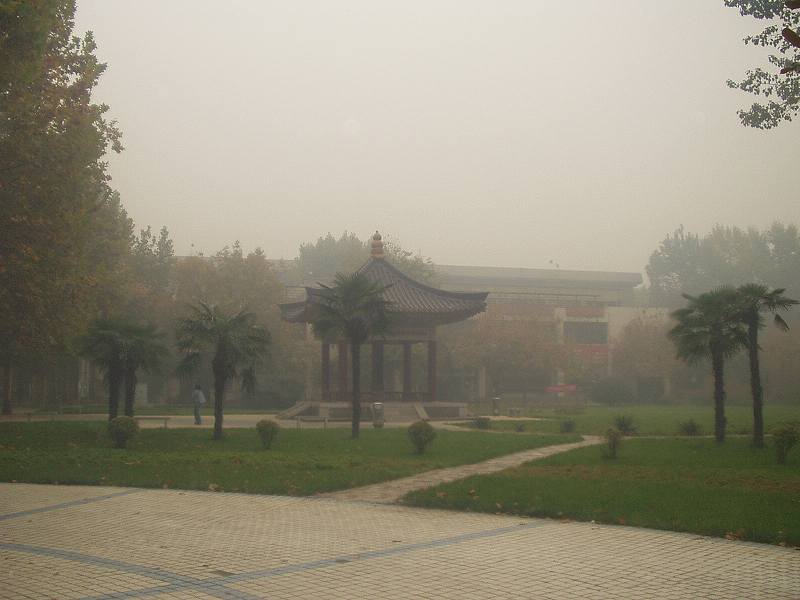 [西北大学構内黄砂.jpg]