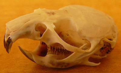 [上下左側面.jpg]