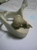 [090416_2111~001-748598.jpg]