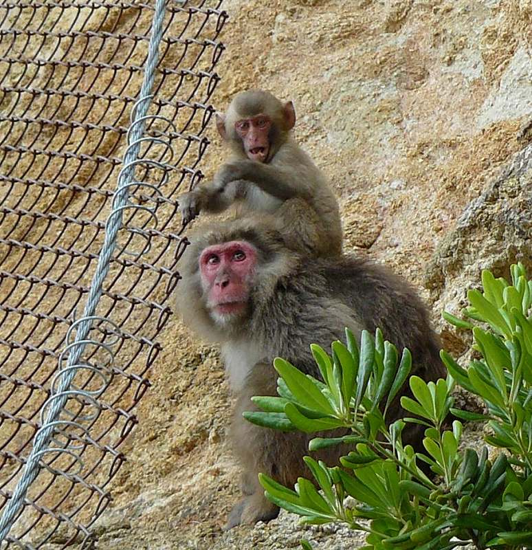 [あまえるな！.jpg]