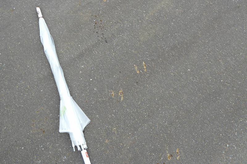 [ｼｶ足跡9道路.jpg]