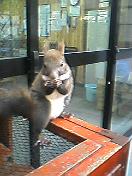 [090617_1603~001-730191.jpg]