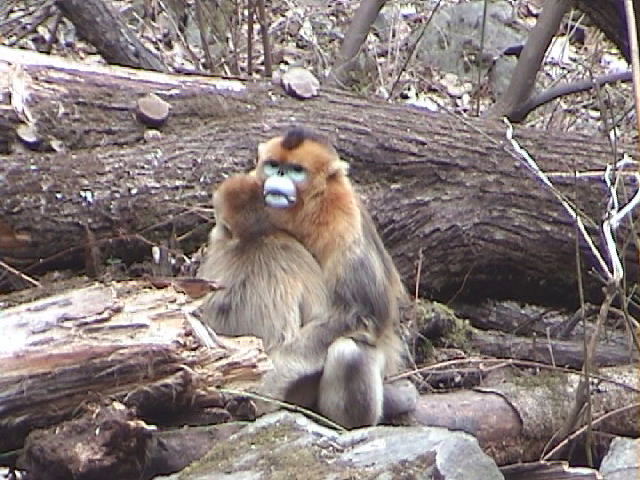 [抱き合い♂♀.jpg]