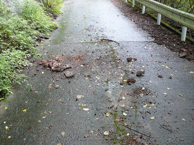 [ｱｼﾅｶﾞﾊﾞﾁの巣.jpg]