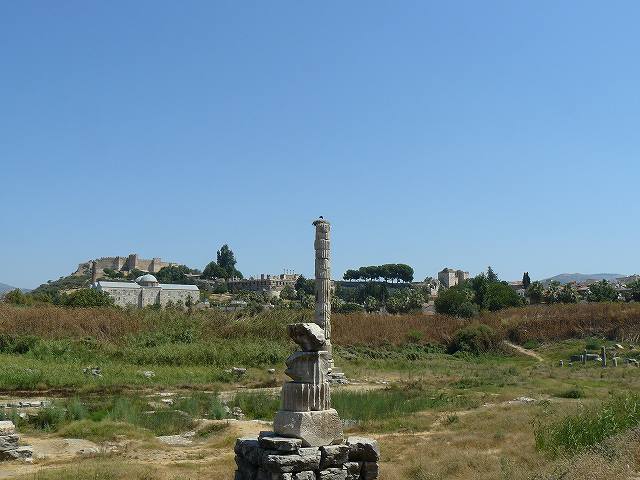 [ｺｳﾉﾄﾘ1.jpg]