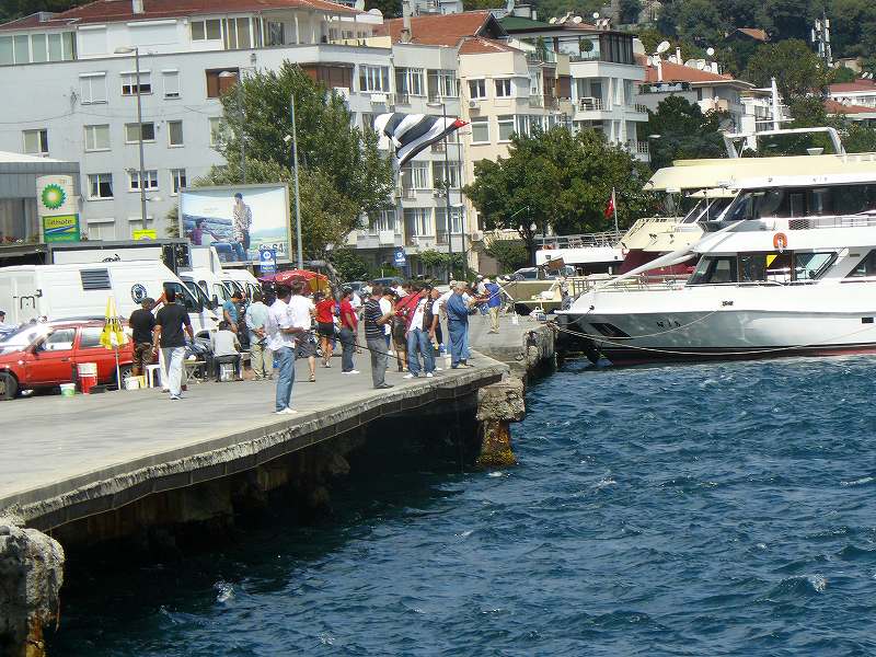 [岸壁で釣り.jpg]