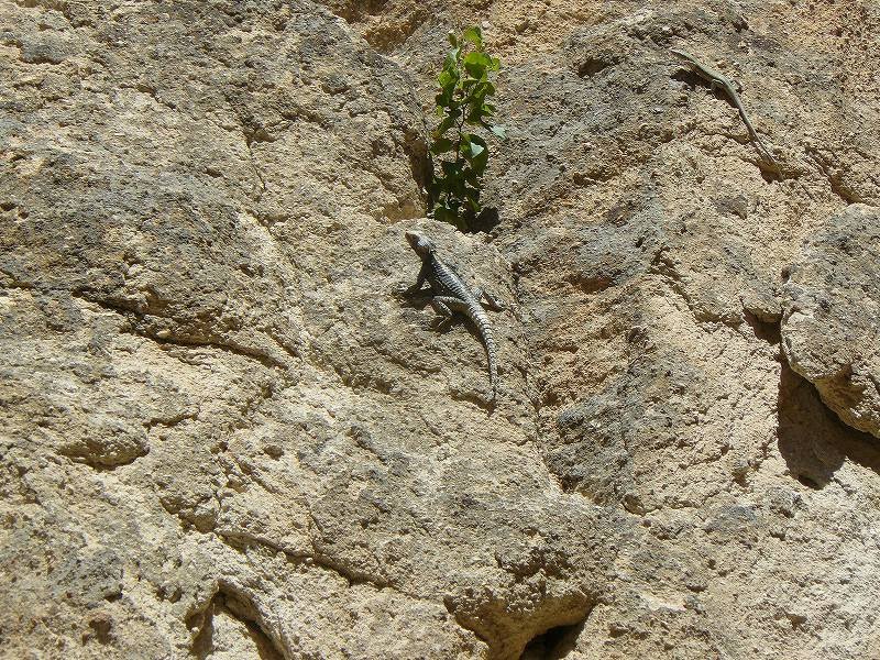 [ﾄｶｹﾞ10.jpg]