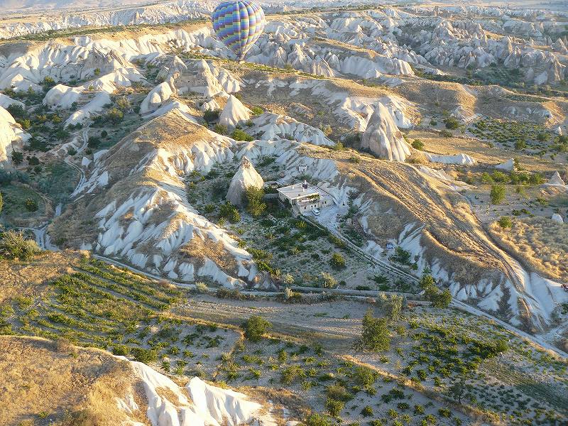 [①気球と植林地.jpg]