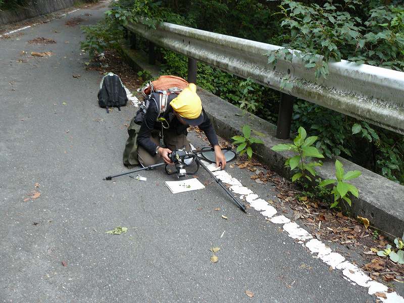 [プロが撮るテン糞の内容物のｷﾌﾞｼ.jpg]