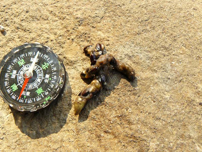 [ï¾ ï¾ ç³ 3.jpg]