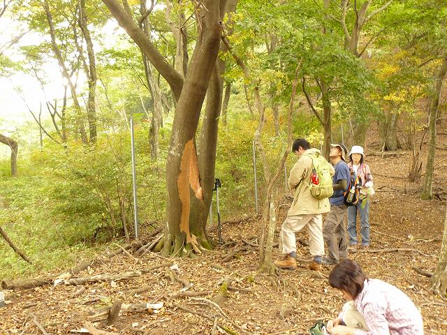 [ã‚·ã‚«ã ®é£Ÿå®³.jpg]