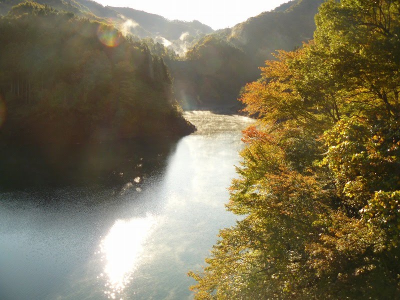 [æ°´è’¸æ°—3.jpg]