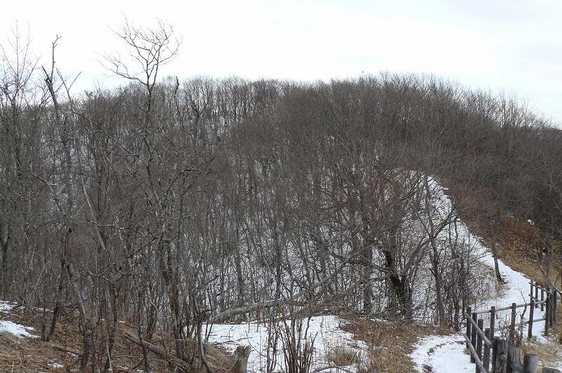 [展望台から.jpg]