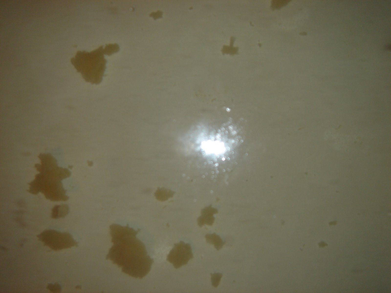 [DSC05516.JPG]