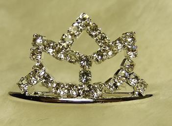 [Crown+9.JPG]