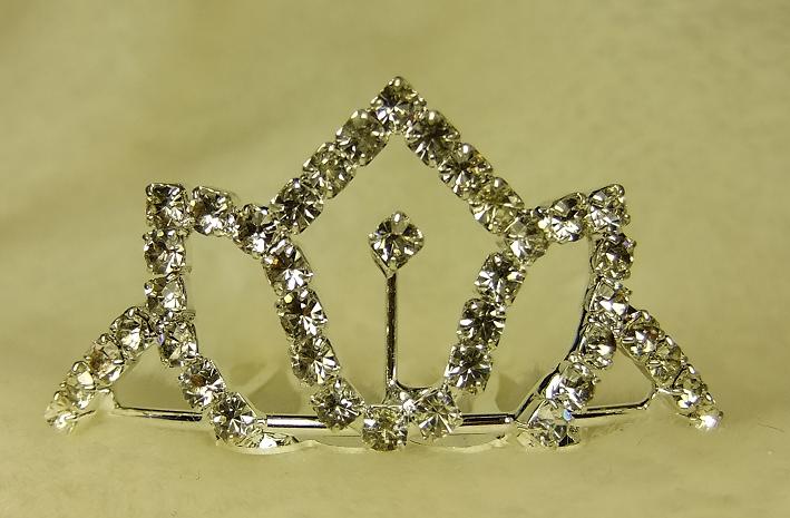 [Crown+5.JPG]