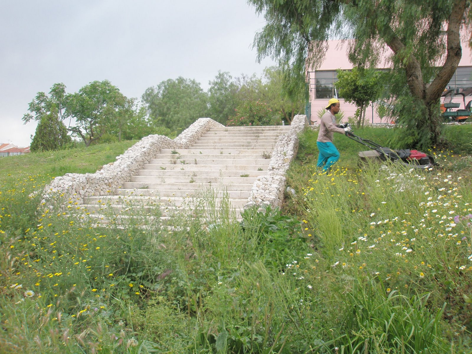 [P5090071.JPG]