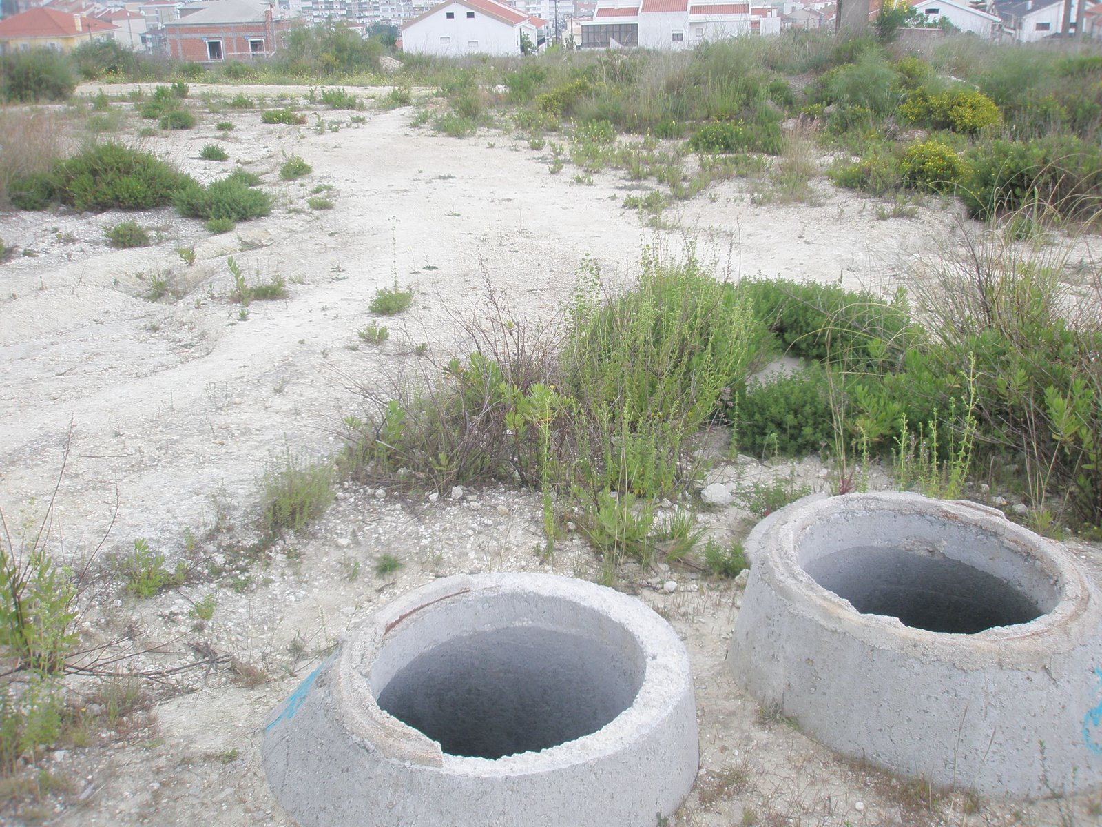 [P5090087.JPG]