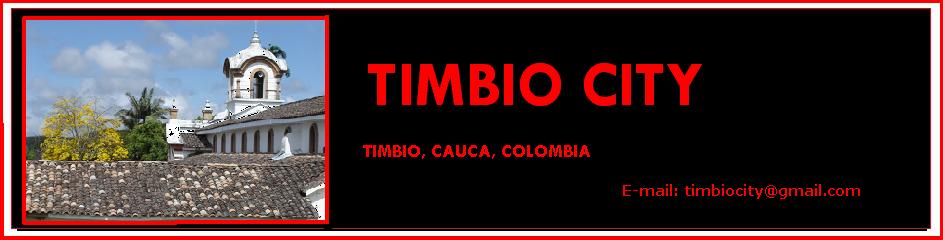 Timbio City