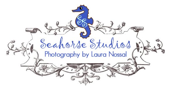 Seahorse Studios