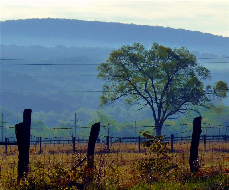 ButterYum Autumn in Virginia