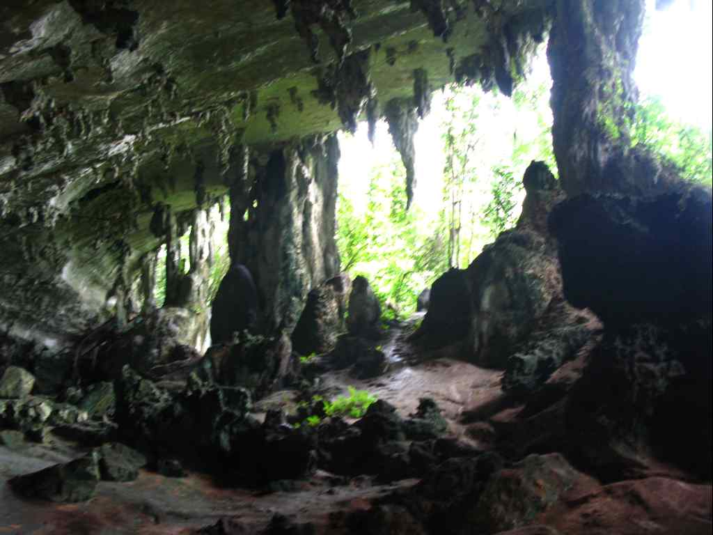 [img_8465.jpeg]