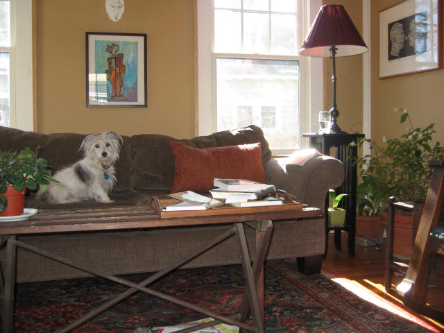 [sunsofa.JPG]
