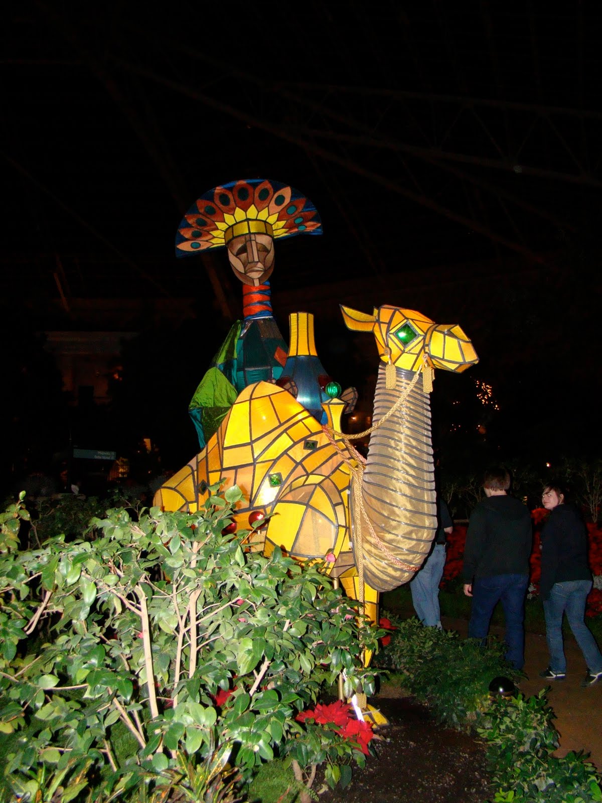 [DSC02570.jpg]