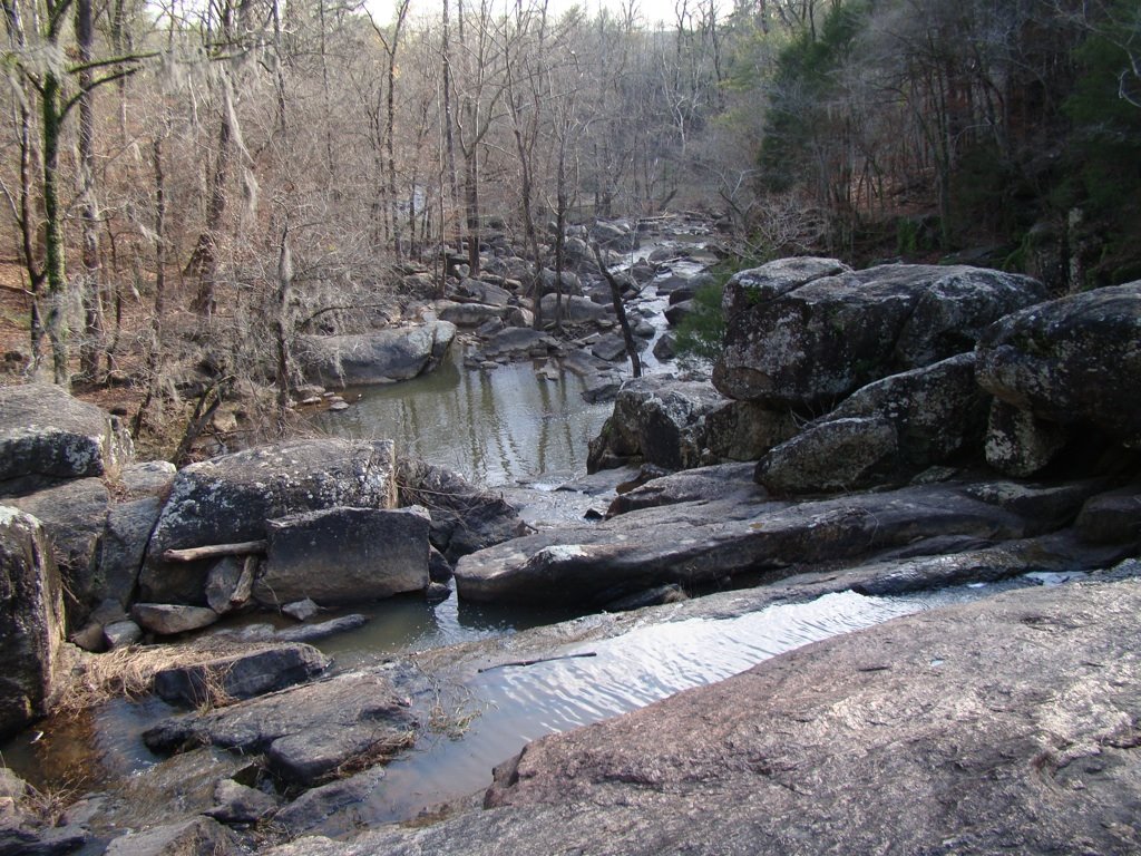 [DSC00717.jpg]
