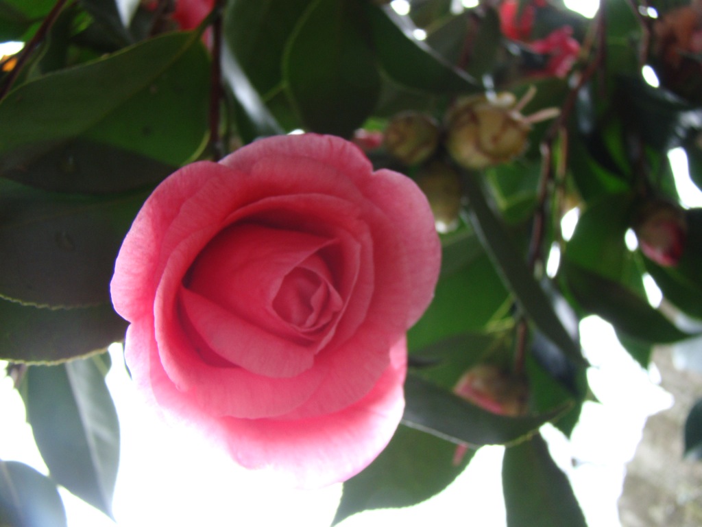 [DSC00958.JPG]