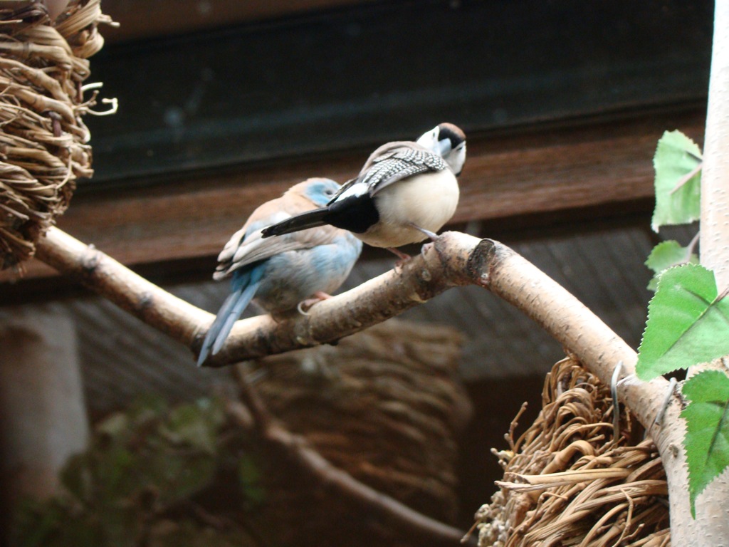 [DSC00837.JPG]