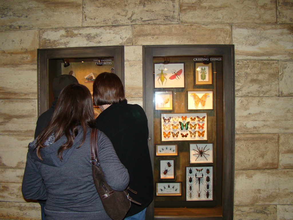 [DSC00824.JPG]
