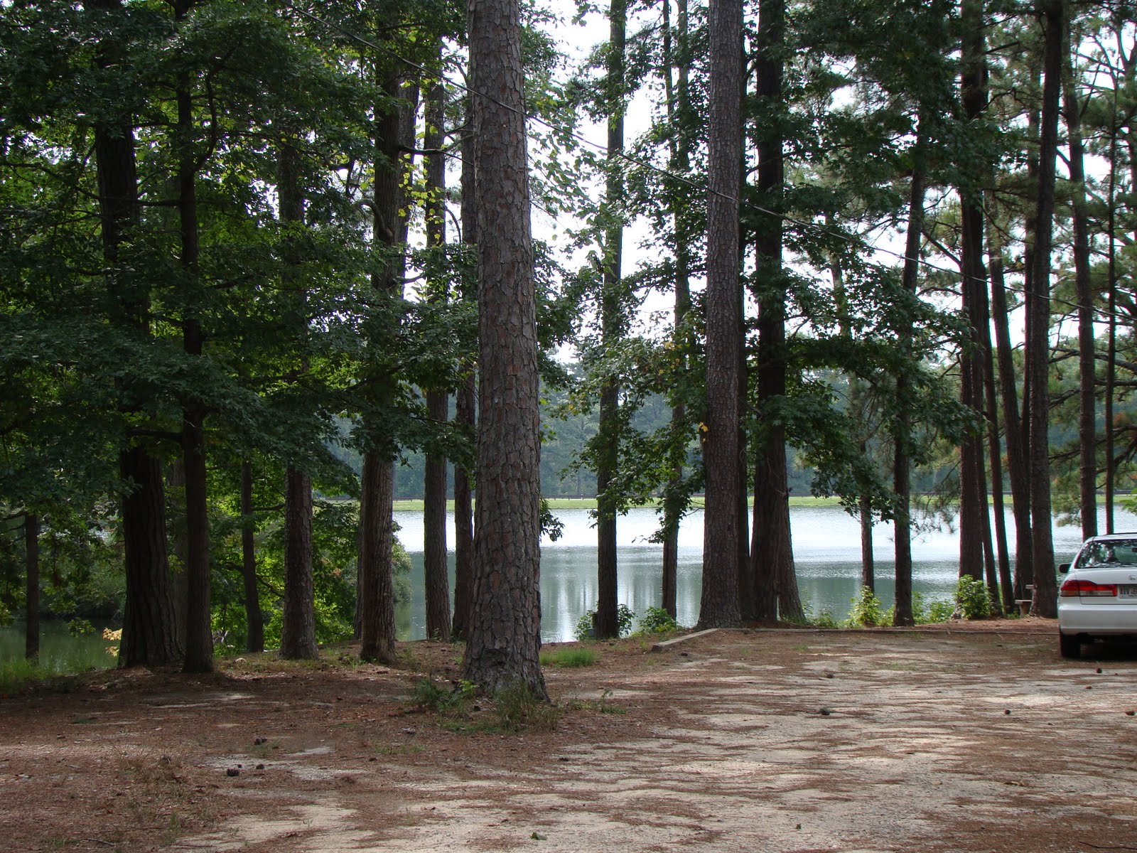 [DSC01833.JPG]